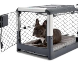 <strong>Diggs Revol Dog Crate </strong>
<br/>Gray Small for Minis 28"L x 20"W x 21"H